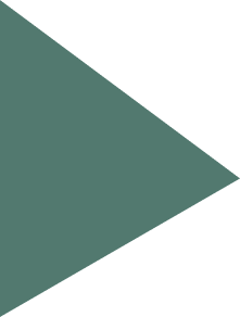 Vector 8